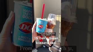 1 Dairy Queen blizzard in Canada🍦😱deals icecream dairyqueen musttry [upl. by Eremehc]