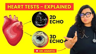 2D vs 3D Echo Test Explained  Heart Echocardiogram Tests [upl. by Cyndia760]