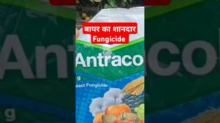 Antracol प्रीवेंटिव फफूंदीनाशक [upl. by Anayi]