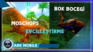 MOSCHOPS VE DUNG BEETLE EVCİLLEŞTİRMEARK MOBILE BÖLÜM 58 [upl. by Gnuhc]