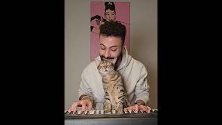 Pianist Cat 🐈🎹😊❤️ [upl. by Halima]