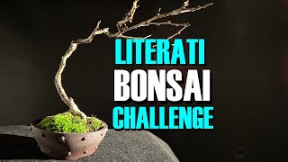 Literati Bonsai Challenge [upl. by Nady]