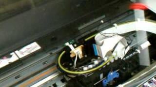 Epson 4800 Head Replacement part 1 [upl. by Artim]