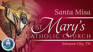 Santa Misa  Solemnidad de la Santísima Trinidad  4 de Junio de 2023 [upl. by Srednas]