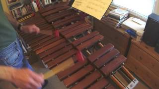 Messiaen Exotic Birds complete xylophone part [upl. by Aicerg]