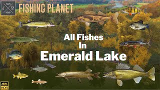 Fishing Planet  All Fishes In Emerald Lake [upl. by Enyahc]