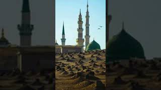 Farshi turab emotional nasheed nasheed islamicnasheed [upl. by Noivart453]