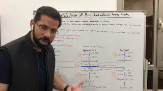 Metabolism of BranchedChain Amino Acids [upl. by Oreste]