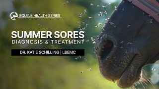 Summer Sores Diagnosis amp Treatment [upl. by Iinden]