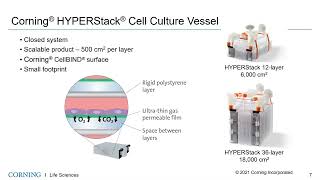 Tools for Simplifying MSC Expansion Cryopreservation and DMSO Removal [upl. by Innob]