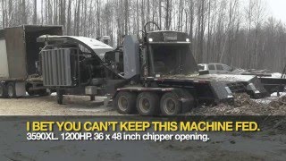 Bandit 3590XL Whole Tree Chipper Nelson Forest Products filling 50 Foot trailer in real time [upl. by Oelc]