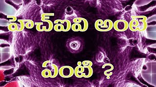 HivOrigin of hiv explained clearly in telugu retrovirus most dangerous virus medtelugu [upl. by Tipton]