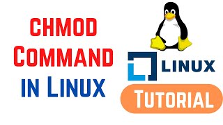 Linux Command Line Basics Tutorials  How to Use the chmod Command on Linux [upl. by Eitsym]