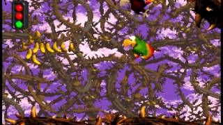 Donkey Kong Country 2 OST Super Nintendo  Track 1829  Bad Bird Rag Screechs Sprint [upl. by Melda852]