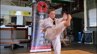 Heian Nidan kata JKS  Limerick Shojinkai [upl. by Adnauqaj]