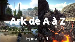 Un début sans histoire  ARK de A à Z  E1 [upl. by Arlyn757]