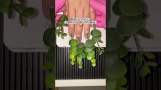 Casos de la vida real😱🥲 nails naildesign nailhacks naildesignathome shorts nailtrends [upl. by The603]