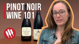 Pinot Noir Everything you need to know  Grapes 101 [upl. by Waite]