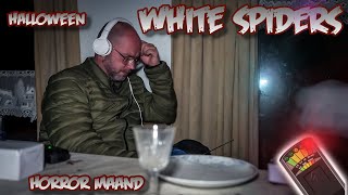 Dwalende geesten in chalet White Spiders  De Halloween Horror Maand 2024 [upl. by Davilman462]