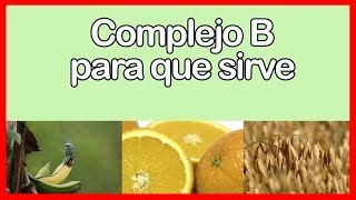 COMPLEJO B para que sirve Alimentos que contienen COMPLEJO B [upl. by Tengdin111]