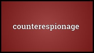 Counterespionage Meaning [upl. by Eirrek]