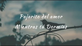 Carla Morrison  Pajarito del amor letra [upl. by Funch675]