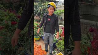 Jcb से बोरा लौड किया working art skill wood hand crafts  shorts [upl. by Jessamine]