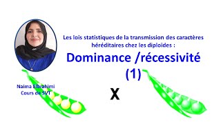 SVTBacBiof lois statistiques de transmission des caractères Dominancerécessivité  backcross [upl. by Tilda4]