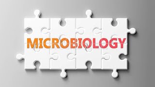 Streptococcus pyogenes Microbiology Pathology MBBS [upl. by Enamrej]