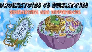 Similarities and Differences between prokaryotic and eukaryotic cells [upl. by Attenol]