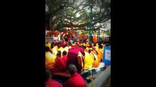 Kagyu Monlam 2010  Bodh Gaya  Mahabodhi stupa  Prayer [upl. by Julius]