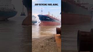 Ship Beaching at Ship Breaking Yard Alang  Bulk Carrier alang shipBreaking alangportofficial [upl. by Ydnas]