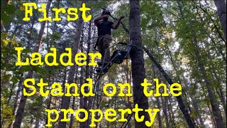 First ladder stand on the new property [upl. by Hardan]