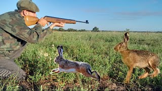 ESTA LLENO DE LIEBRES 🐇 Caza con rifle Nitro piston Gr 1600 FOX [upl. by Aketal]