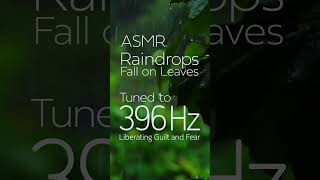 ASMR  Raindrops Fall on Leaves  396 Hz Liberating Guilt and Fear [upl. by Bonilla74]