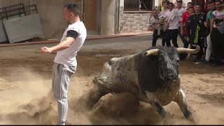 Eslida  La Vall Duixo  Xilxes  La Llosa  6 de Abril 2024  Ganaderías en la Descripcion 🎥🐂✅💯 [upl. by Rehpinnej52]