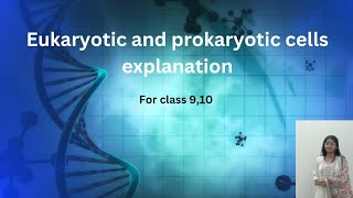 eukaryotic and prokaryotic cells explanation biology class 910 biology [upl. by Iggie]