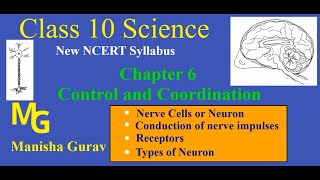 Class 10  Science  Chapter 6 Control and Coordination  Neuron  Types of Neuron  New NCERT [upl. by Nuahc204]