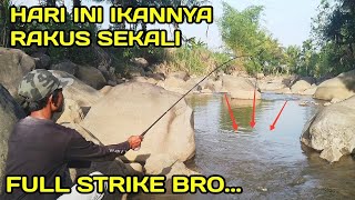 Serasa Mancing di Kolam Ikannya Rakus Sekali LM22 [upl. by Christean190]