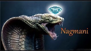 Nagamani Reality or Myth   क्या सच में नागमणि होती है   Nagmani Explained in Hindi [upl. by Rukna339]