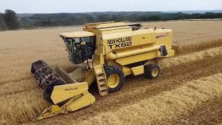 Moisson descourgeon 2023 en Belgique  NewHolland TX62  Case IH 1455 XL [upl. by Qiratla386]