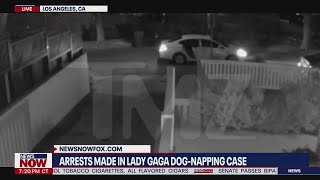 Lady Gaga dognapping 5 suspects arrested for robbery attempted murder of dog walker [upl. by Acinnad631]