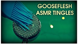 Gooseflesh ASMR Tingles [upl. by Akimrej]