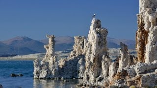 Spectacular Mono Lake California [upl. by Natanoy]