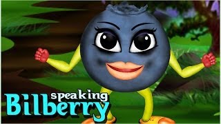 Speaking Bilberry  Kids Animated Story  Animated  Cartoon Stories For Kids [upl. by Maurili]