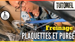 Comment CHANGER LES PLAQUETTES DE FREIN dun VELO CARBONE  système hydraulique [upl. by Gaulin]