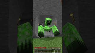 Why they all are Afraid of Something shorts minecraft meme [upl. by Raimes]