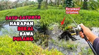 Bergulung dengan Rumput salah satu tektik melepaskan diri  Casting Ikan Haruan Lubuk VIRAL [upl. by Nobe589]