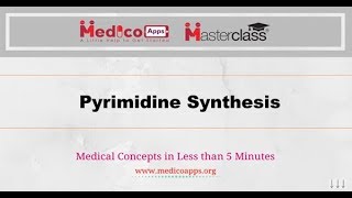 Pyrimidine Synthesis [upl. by Eynaffit]