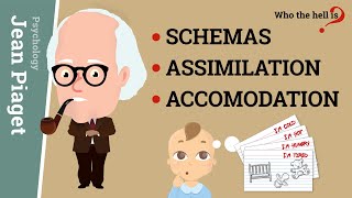 Schemas Assimilation and Accomodation Jean Piagets Epistemological Concepts [upl. by Jesselyn]